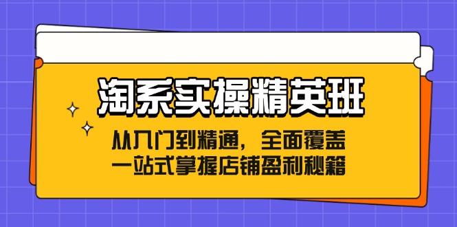 淘系实操精英班：从入门到精通，全面覆盖，一站式掌握店铺盈利秘籍-木白网创
