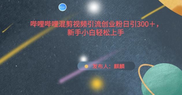哔哩哔哩混剪视频引流创业粉日引300+，新手小白轻松上手【揭秘】-木白网创