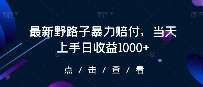最新野路子暴力赔付，当天上手日收益1000+【仅揭秘】-木白网创