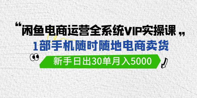 (9547期)闲鱼电商运营全系统VIP实战课，1部手机随时随地卖货，新手日出30单月入5000-木白网创