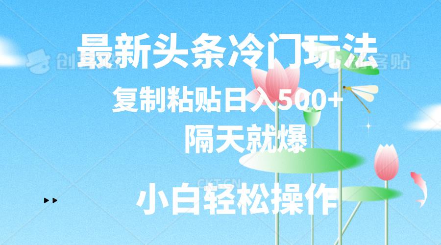 最新头条冷门玩法，隔天就爆，复制粘贴日入500+-木白网创