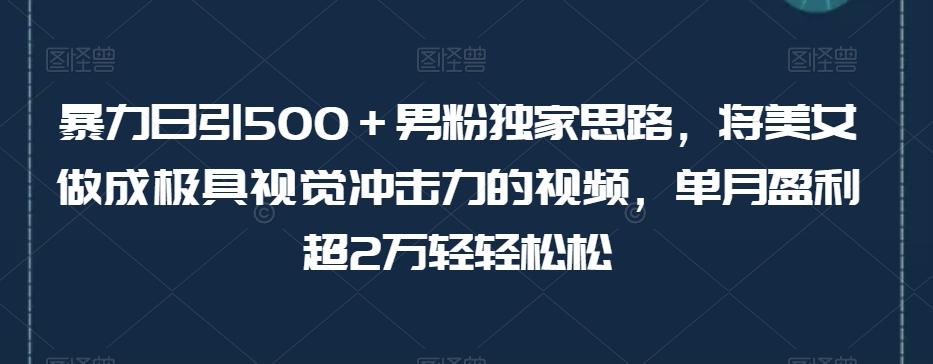 暴力日引500＋男粉独家思路，将美女做成极具视觉冲击力的视频，单月盈利超2万轻轻松松-木白网创