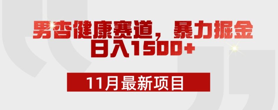 11月最新项目，男杏健康赛道，暴力掘金，日入1500+-木白网创