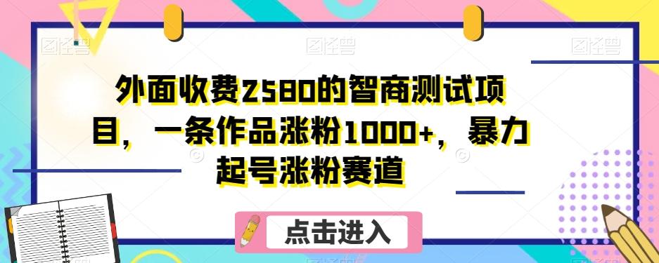 外面收费2580的智商测试项目，一条作品涨粉1000+，暴力起号涨粉赛道【揭秘】-木白网创