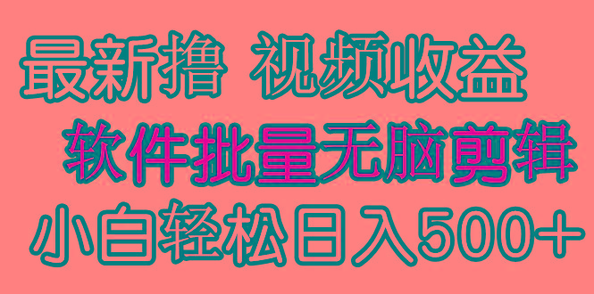 (9569期)发视频撸收益，软件无脑批量剪辑，第一天发第二天就有钱-木白网创