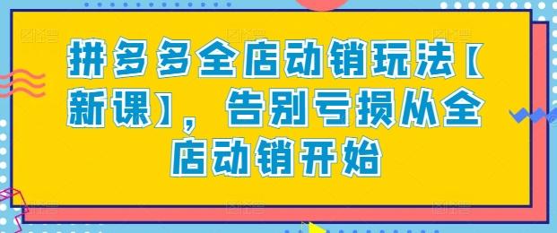 拼多多全店动销玩法【新课】，告别亏损从全店动销开始-木白网创
