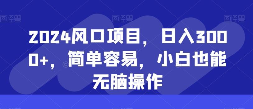2024风口项目，日入3000+，简单容易，小白也能无脑操作-木白网创
