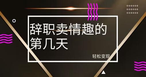 冷门赛道，辞职卖情趣的第几天，超暴力项目-木白网创