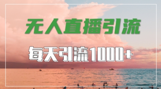 抖音快手视频号全平台通用，无人直播引流法，超暴力引流1000+高质量精准创业粉【揭秘】-木白网创