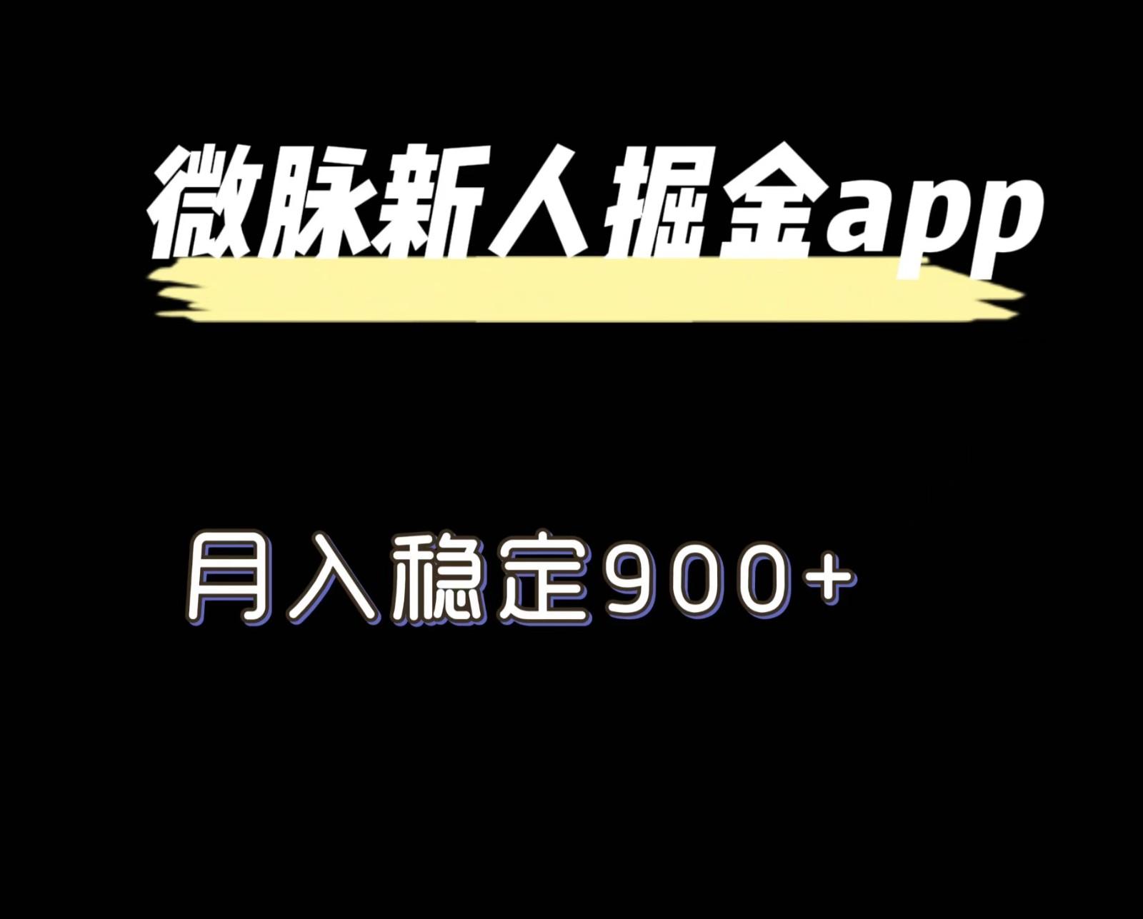 最新微脉长久项目，拉新掘金，月入稳定900+-木白网创