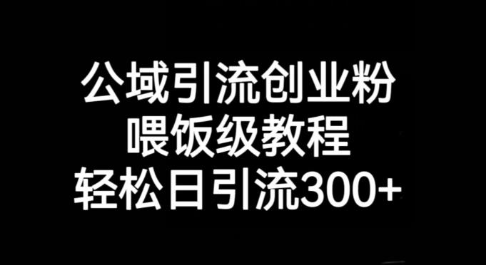 公域引流创业粉，喂饭级教程，轻松日引流300+【揭秘】-木白网创