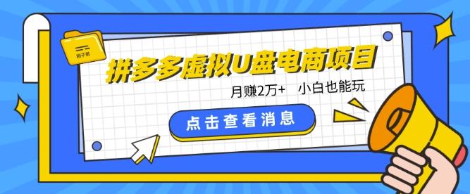 拼多多虚拟U盘电商红利项目：月赚2万+，新手小白也能玩-木白网创
