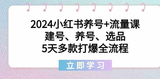 2024小红书养号+流量课：建号、养号、选品，5天多款打爆全流程-木白网创