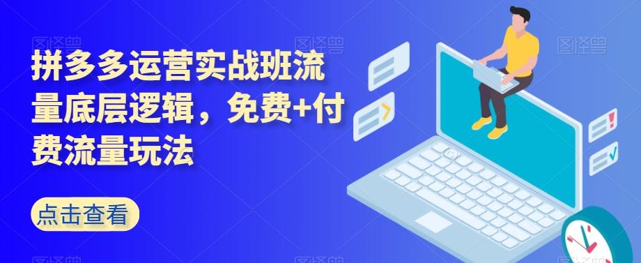 拼多多运营实战班流量底层逻辑，免费+付费流量玩法-木白网创