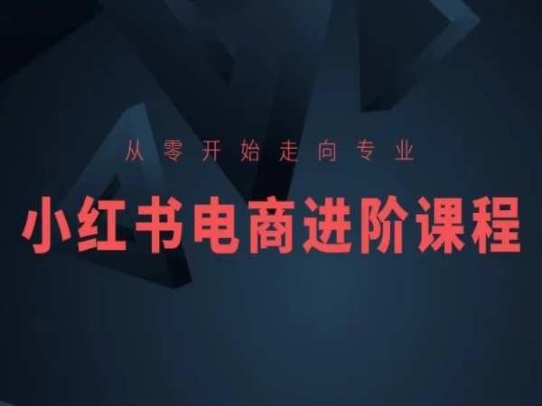 从零开始走向专业，小红书电商进阶课程-木白网创