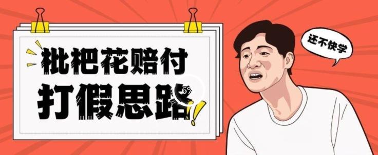 最新打假原料枇杷花赔付玩法一单收益1000+小白轻松下车【详细视频玩法教程】【仅揭秘】-木白网创