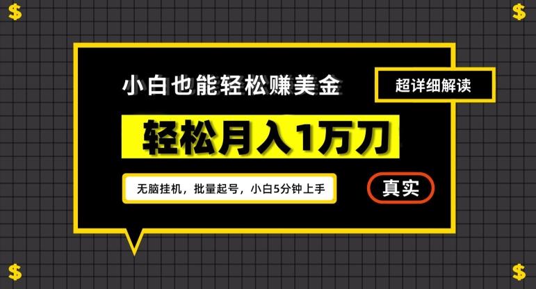 谷歌看广告撸美金2.0，无脑挂机，多号操作，月入1万刀【揭秘】-木白网创