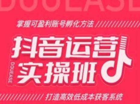 抖音运营实操班，掌握可盈利账号孵化方法，打造高效低成本获客系统-木白网创