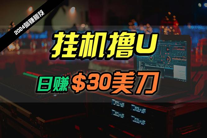 (10013期)日赚30美刀，2024最新海外挂机撸U内部项目，全程无人值守，可批量放大-木白网创