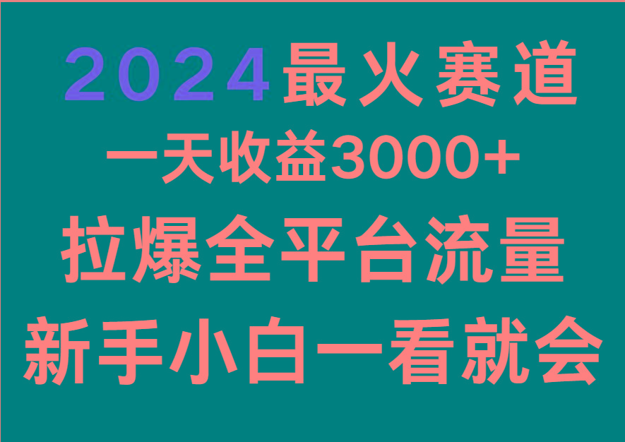 2024最火赛道，一天收一3000+.拉爆全平台流量，新手小白一看就会-木白网创