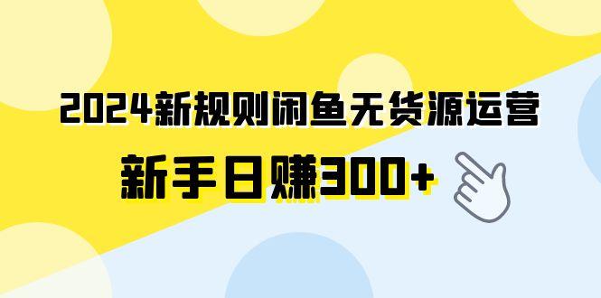 (9522期)2024新规则闲鱼无货源运营新手日赚300+-木白网创