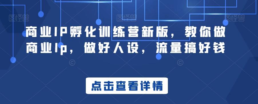 商业IP孵化训练营新版，教你做商业Ip，做好人设，流量搞好钱-木白网创