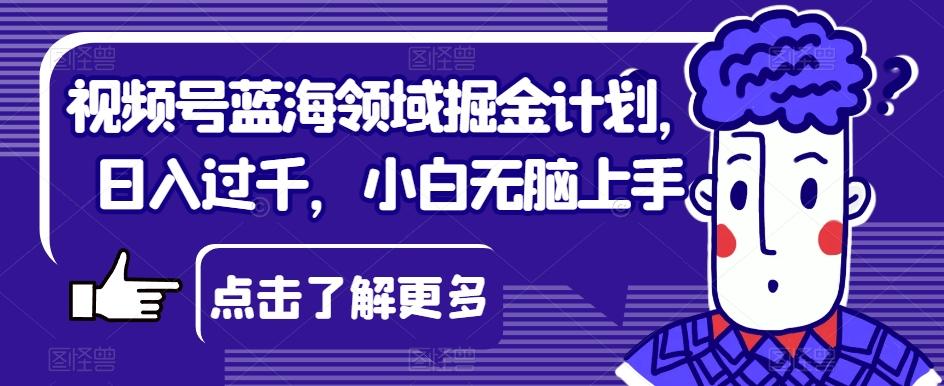 视频号蓝海领域掘金计划，日入过千，小白无脑上手【揭秘】-木白网创