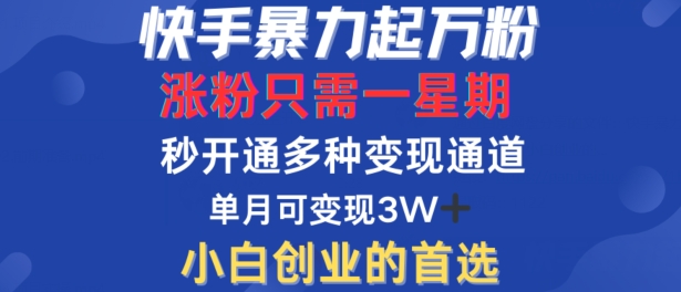 快手暴力起万粉，涨粉只需一星期，多种变现模式，直接秒开万合，单月变现过W【揭秘】-木白网创