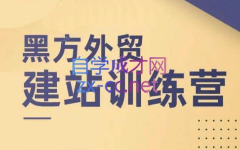 黑方老师·谷歌B端独立站建站推广-木白网创