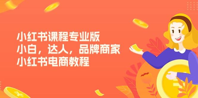 小红书课程专业版，小白，达人，品牌商家，小红书电商教程(15节-木白网创