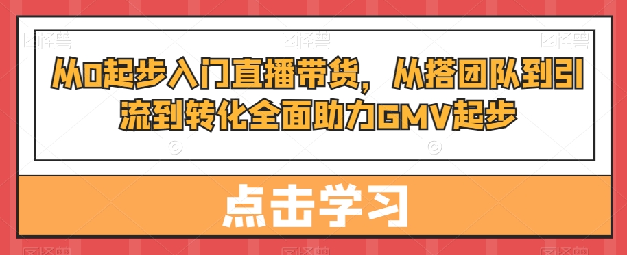 从0起步入门直播带货，​从搭团队到引流到转化全面助力GMV起步-木白网创
