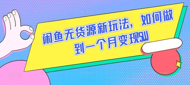 闲鱼无货源新玩法，如何做到一个月变现5W【揭秘】-木白网创
