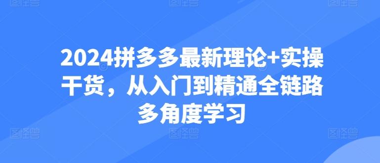 2024拼多多最新理论+实操干货，从入门到精通全链路多角度学习-木白网创