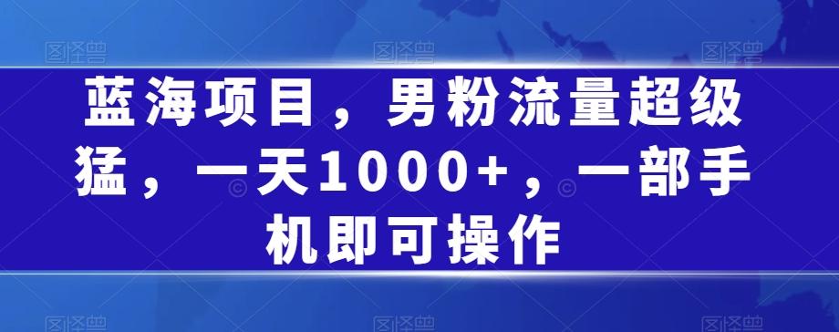 蓝海项目，男粉流量超级猛，一天1000+，一部手机即可操作【揭秘】-木白网创