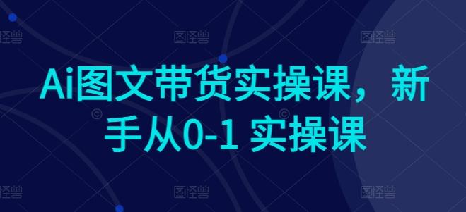 Ai图文带货实操课，新手从0-1 实操课-木白网创