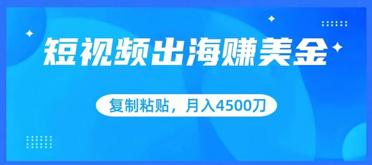 短视频出海赚美金，复制粘贴批量操作，小白轻松掌握，月入4500美刀【揭秘】-木白网创
