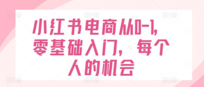 小红书电商从0-1，零基础入门，每个人的机会-木白网创