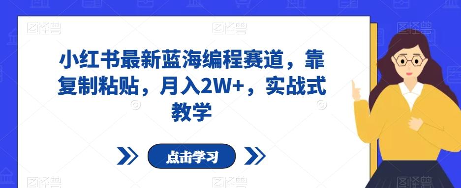 小红书最新蓝海编程赛道，靠复制粘贴，月入2W+，实战式教学【揭秘】-木白网创