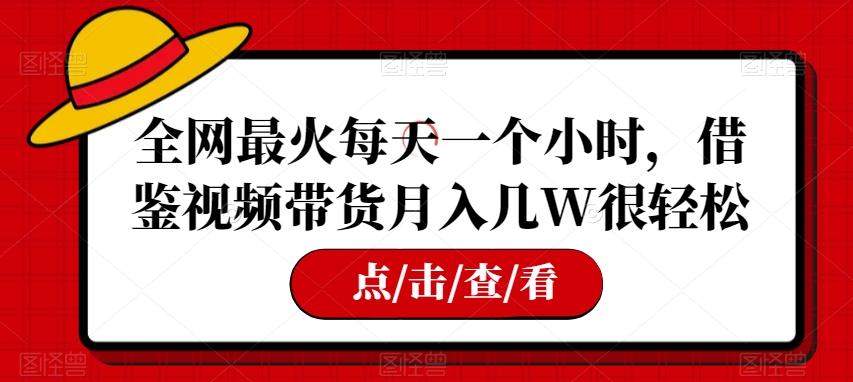 全网最火每天一个小时，借鉴视频带货月入几W很轻松【揭秘】-木白网创