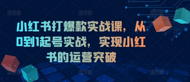小红书打爆款实战课，从0到1起号实战，实现小红书的运营突破-木白网创