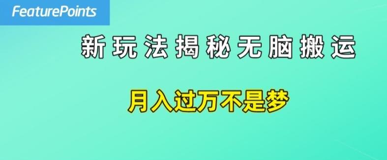 简单操作，每天50美元收入，搬运就是赚钱的秘诀【揭秘】-木白网创