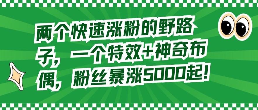 两个快速涨粉的野路子，一个特效+神奇布偶，粉丝暴涨5000起【揭秘】-木白网创