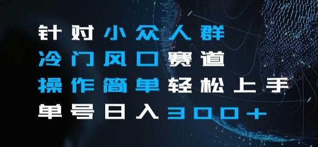 针对小众人群冷门风口赛道，操作简单轻松上手单号日入300+-木白网创