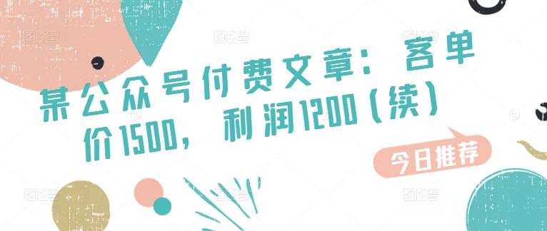 某公众号付费文章：客单价1500，利润1200(续)，市场几乎可以说是空白的-木白网创