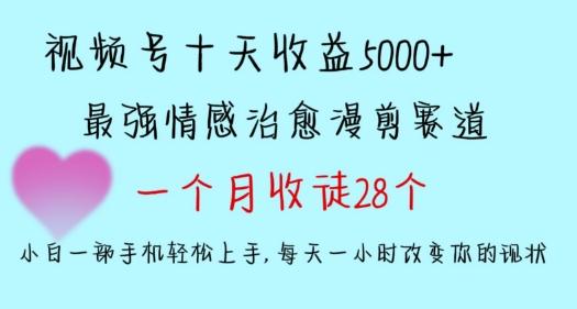 十天收益5000+，多平台捞金，视频号情感治愈漫剪，一个月收徒28个，小白一部手机轻松上手【揭秘】-木白网创