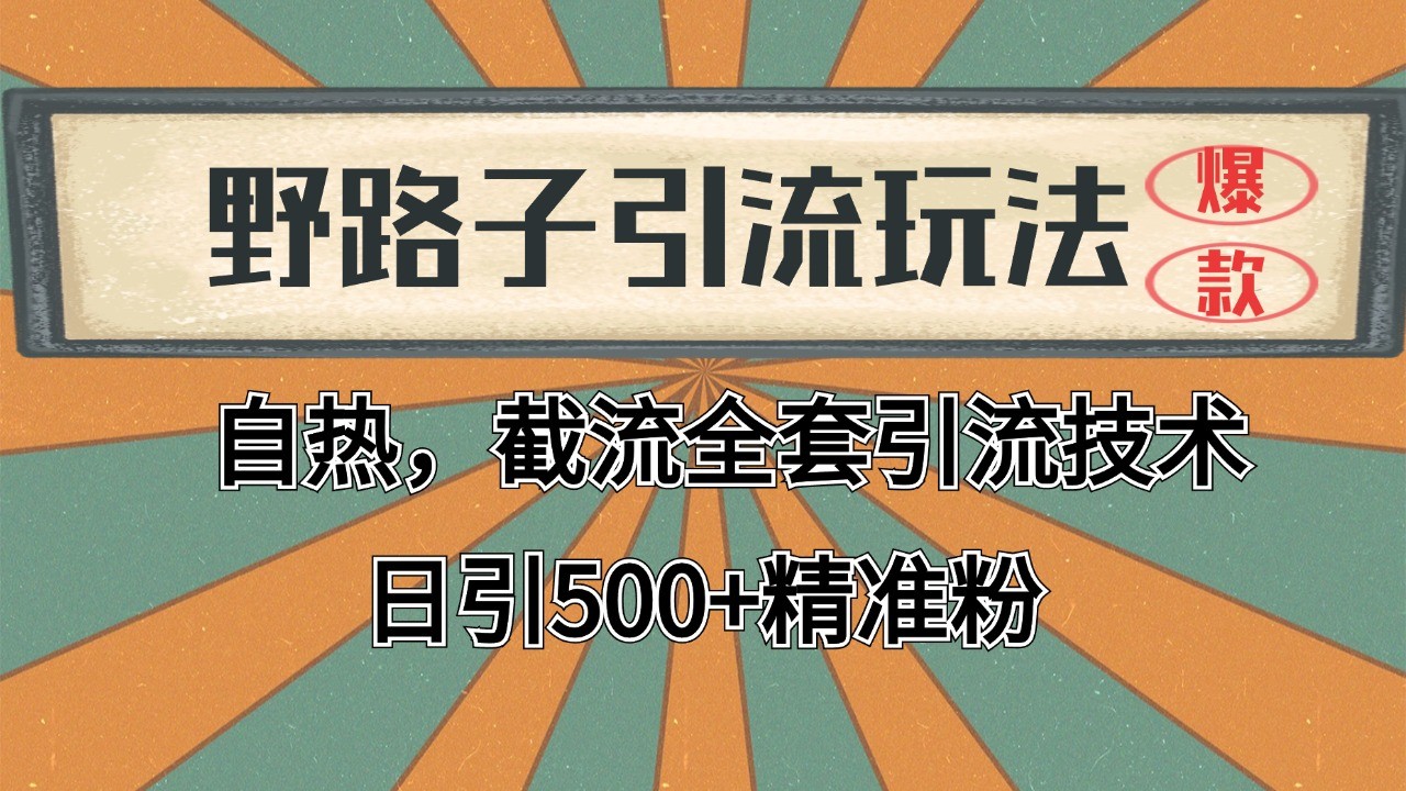 抖音小红书视频号全平台引流打法，全自动引流日引2000+精准客户-木白网创