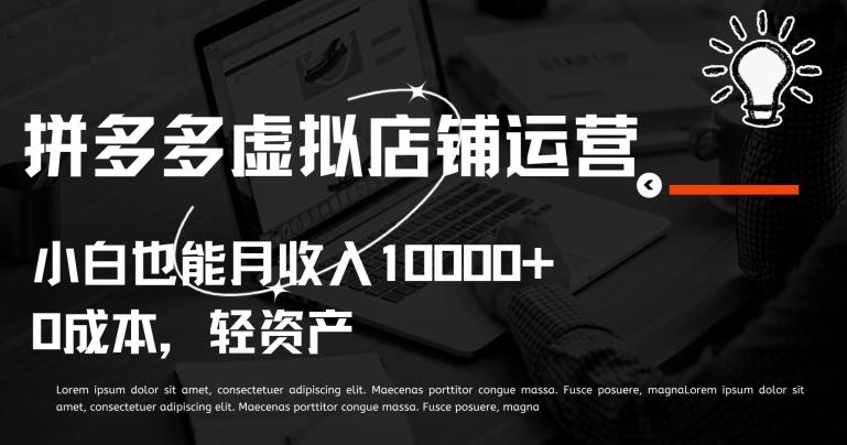 拼多多虚拟店铺运营小白也能月收入10000+【揭秘】-木白网创