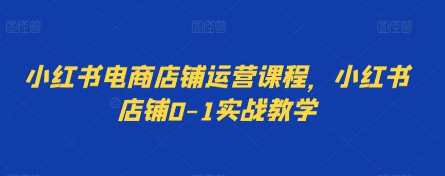 小红书电商店铺运营课程，小红书店铺0-1实战教学-木白网创