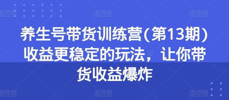 养生号带货训练营(第13期)收益更稳定的玩法，让你带货收益爆炸-木白网创
