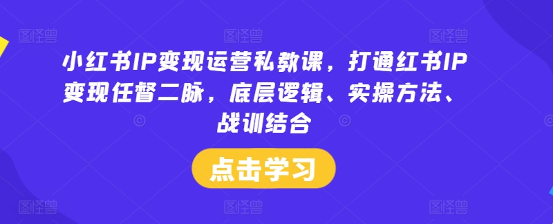小红书IP变现运营私教课，打通红书IP变现任督二脉，底层逻辑、实操方法、战训结合-木白网创